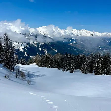 홈스테이 Gastein 2 *
