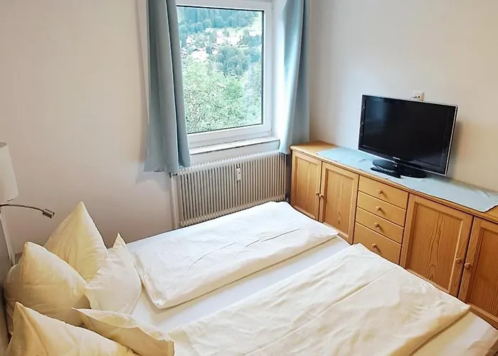 Privat bolig Gastein 2 Bad Gastein